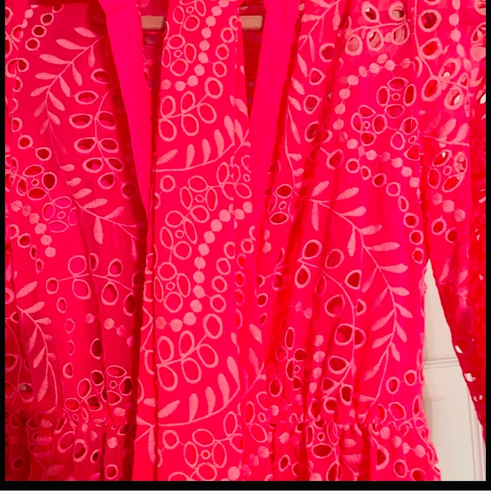 Lilly Pulitzer Amrita Pink Maxi Dress - Picture 5 of 6